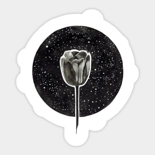 Black Tulip Sticker